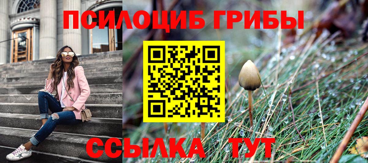 Коркино  Галлюциногенные грибы Psilocybine cubensis  Вход с VPN  Псилоцибиновые грибы прущие грибы 