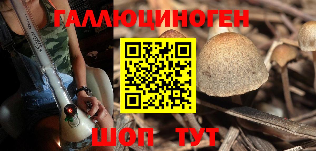Галлюциногенные грибы Cubensis Коркино